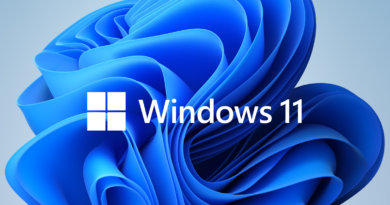 Windows 11